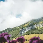 Alfa Superieur - Leukerbad-therme מלון
